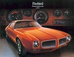 Image of 1973 Firebird GM Dealership Showroom Sales Brochure
