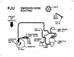 1990 Firebird 6 Cylinder 3.1 Engine California Emission Hose Routing Decal, FJU Code