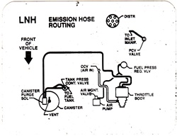Image of 1991 Firebird Hose Routing Emission Decal 3.1 Code LNH