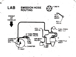 Image of 1991 Firebird Hose Routing Emission Decal 3.1 Code LAB