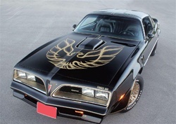 Image of 1976 - 1978 Trans Am Special Edition German Style Decal Kit, Roll Pinstripes