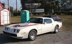 Image of 1980 Trans Am Turbo, 5 Color Decal Kit