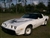 Image of 1981 Trans Am Turbo Nascar Pace Car Decal Kit