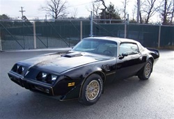 Image of 1981 Trans Am - Special Edition Decal and Stripe Kit