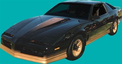 Image of 1984 Trans Am Decal Kit