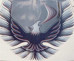 Image of 1980 Pace Car Trans Am Turbo Hood Bird with Flame