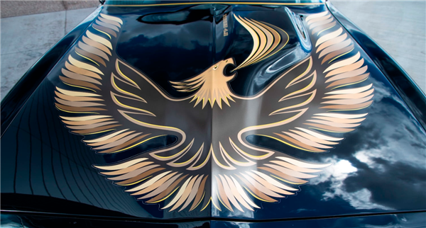 Image of 1980 Trans Am Turbo Hood Bird & Flame Decals