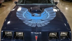 Image of 1981 Trans Am Hood Bird Decal Only, Two Color for Non Turbo Engines