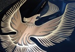 Image of 1981 Trans Am Turbo Hood Bird and Scoop Flame Decal