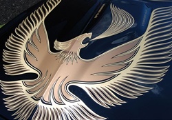 Image of 1981 Trans Am Turbo Hood Bird and Scoop Flame Decal
