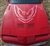 Image of 1985 - 1987 Trans Am Hood Bird Only, 38 Inch X 41 Inch