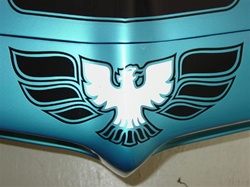 Image of 1970 - 1972 Firebird Trans Am Front Bumper Nose Bird Decal