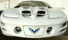 Image of 1998 - 2002 Firebird Trans Am Front License Plate Cover Decal