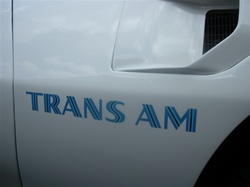 Image of 1973 - 1978 Trans Am Fender Decal, Die-Cut