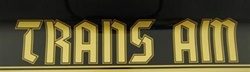 Image of 1976 - 1978 "Trans Am" German Special Edition Rear Spoiler Decal