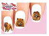 Chow Chow Red Assorted Set of 20 Waterslide Nail Decals