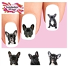 Black French Bulldog Set of 20 Waterslide Nail Decals