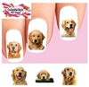 Golden Retriever Assorted Set of 20 Waterslide Nail Decals