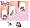 Husky Assorted Set of 20 Waterslide Nail Decals