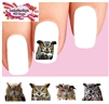 Owls Assorted Set of 20 Waterslide Nail Decals