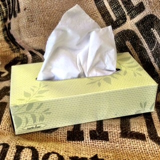 Cascades Facial Tissue, Flat Box