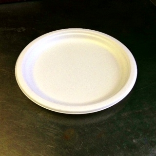 EcoSource Compostable Bagasse 10" Round Plate