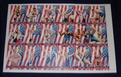 USA Wrestling Poster