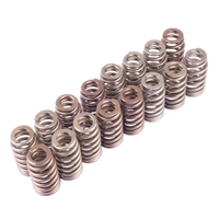 BOSS 302 VALVE SPRING SET -- M-6513-M50BR