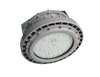 EVE/James Hazardous Location LED, C Series, 100 Watt- View Product