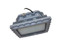 EVE/James Hazardous Location LED, D Series, 100 Watt- View Product