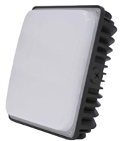 LEDi2 LED Canopy Lights, 36 Watt- View Product