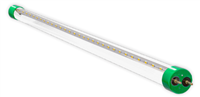 WestGate 2Ft. Hybrid LED T8 Tube | 10W, 3000K, Clear Lens, Type A + B | T8-EZ6-GS-2FT-10W-30K-C