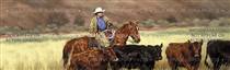 Day at the Office Horse Rear Window Graphic