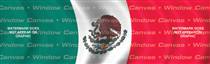 Mexico Flag Rear Window Graphic