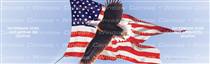 Amerigan Flag Eagle Birds & Ducks Rear Window Graphic