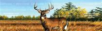 November Buck Deer Rear Window Graphic