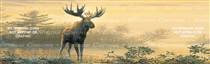 Northwoods Moose Wildlife Rear Window Graphic