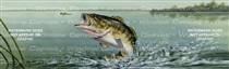 Large Mouth Bass Fishing Rear Window Graphic