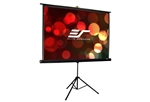 Projection Screen - Tripod Pro 113"