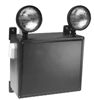 Dual-Lite C1D2-6V36 Class 1 Division 2 Hazardous Location Emergency Light, 6V, 2 Heads, 36W battery back up