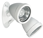 Dual-Lite OCRDW0605 6V, 5W Halogen Decorative Outdoor Remote Lighting Head, Wet Location, Double Heads, White Finish