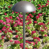 Focus Industries AL-12-CAM 12V 18W 8" Large Mushroom Hat, Area Light, Camel Tone Finish