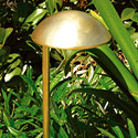 Focus Industries PL-11-FL-5-RBV-120V 120V 5W Fluorescent Path Light Mushroom Style, Rubbed Verde Finish