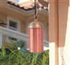 Focus Industries SL-14-LED3CAR 3W OMNI LED, Copper Hanging Cylinder, Brass Chain, Jbox, Copper Acid Rust Finish