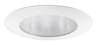 Juno Recessed Lighting 210N-WH (210N WH) 5" LED, Line Voltage, Compact Fluorescent, Shower Trim, White Trim