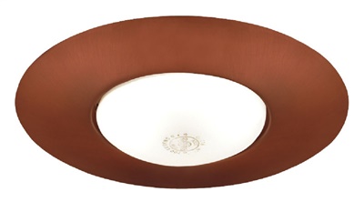 Juno Recessed Lighting 250-ABZ (250 ABZ) 6" Line Voltage, Open Frame Trim with BR30 Lamp, Aged Bronze Trim