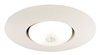 Juno Recessed Lighting 250-WH (250 WH) 6" Line Voltage, Open Frame Trim with BR30 Lamp, White Trim