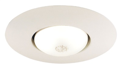 Juno Recessed Lighting 250-WH (250 WH) 6" Line Voltage, Open Frame Trim with BR30 Lamp, White Trim
