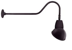 RAB GN2LED13YSAD11A 13W LED Gooseneck Dome Shade with 35" Goose Arm, 3000K (Warm), Spot Reflector, 11" Angled Dome Shade, Bronze Finish
