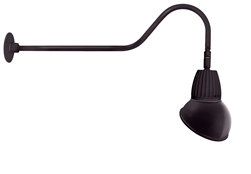 RAB GN2LED26NAD11A 26W LED Gooseneck Dome Shade with 35" Goose Arm, 4000K (Neutral), Flood Reflector, 11" Angled Dome Shade, Bronze Finish